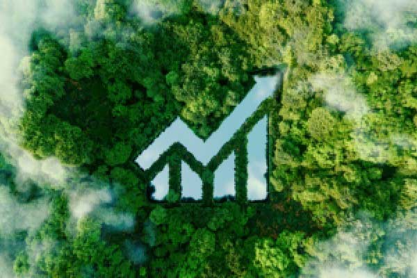 11月29日基金净值：鹏华远见回报三年持有混合最新净值0.6996(2026/01/18)